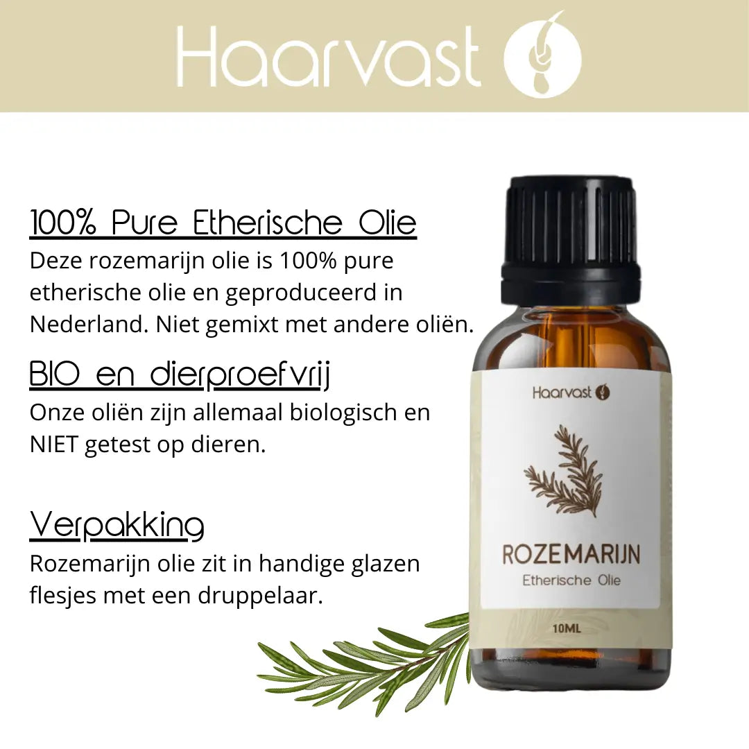 Rozemarijn Etherische Olie - 10ml